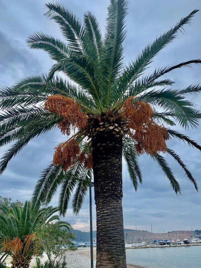 Apartman Ana Zeleni Pojas Bar Esterno foto